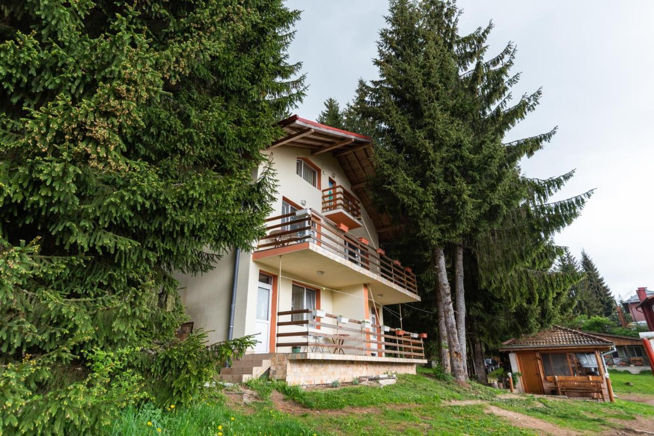 Orlino Holiday Park Сирніца Екстер'єр фото