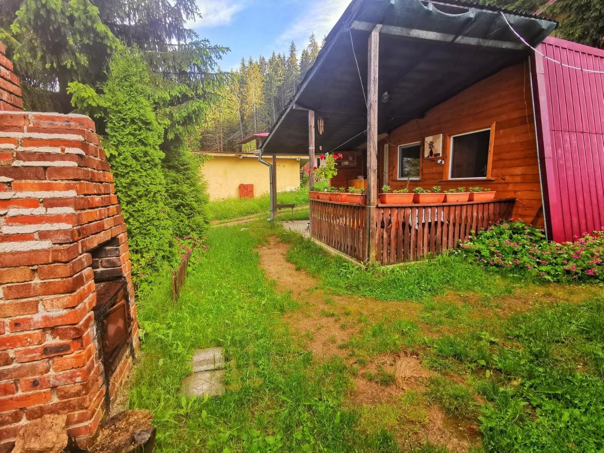 Orlino Holiday Park Сирніца Екстер'єр фото