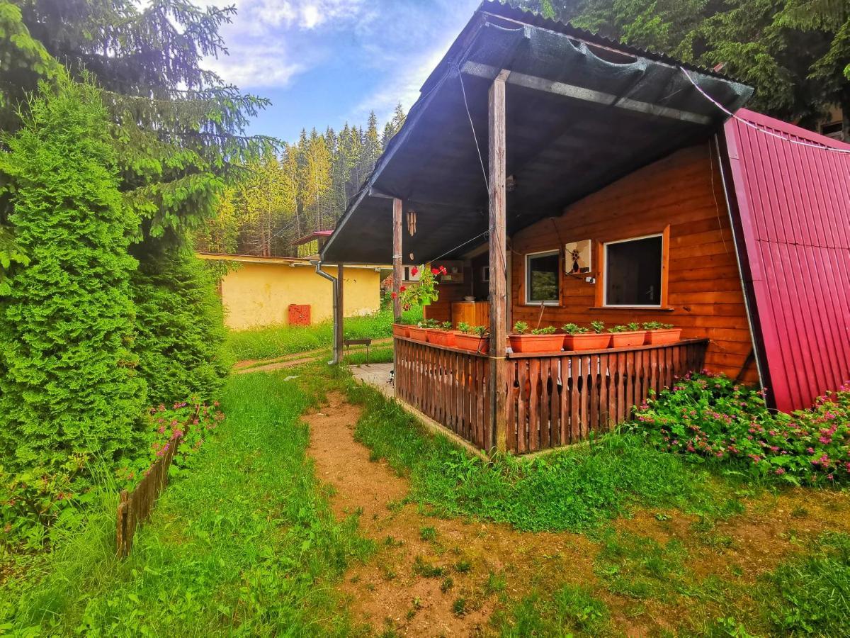 Orlino Holiday Park Сирніца Екстер'єр фото
