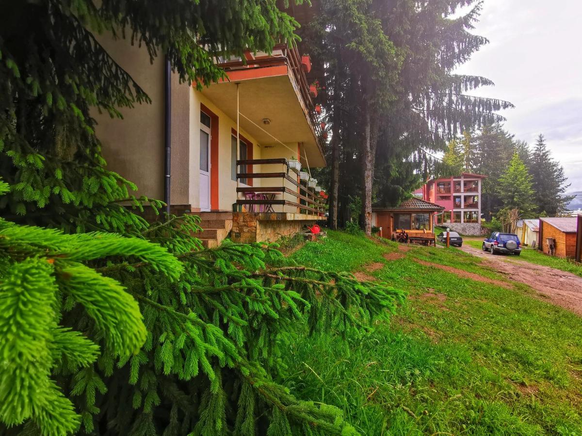 Orlino Holiday Park Сирніца Екстер'єр фото