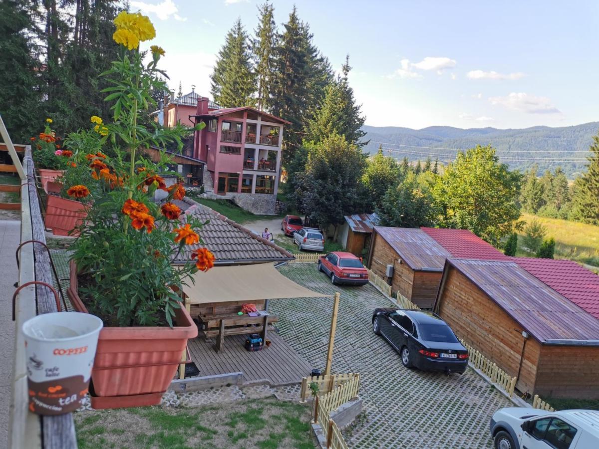 Orlino Holiday Park Сирніца Екстер'єр фото